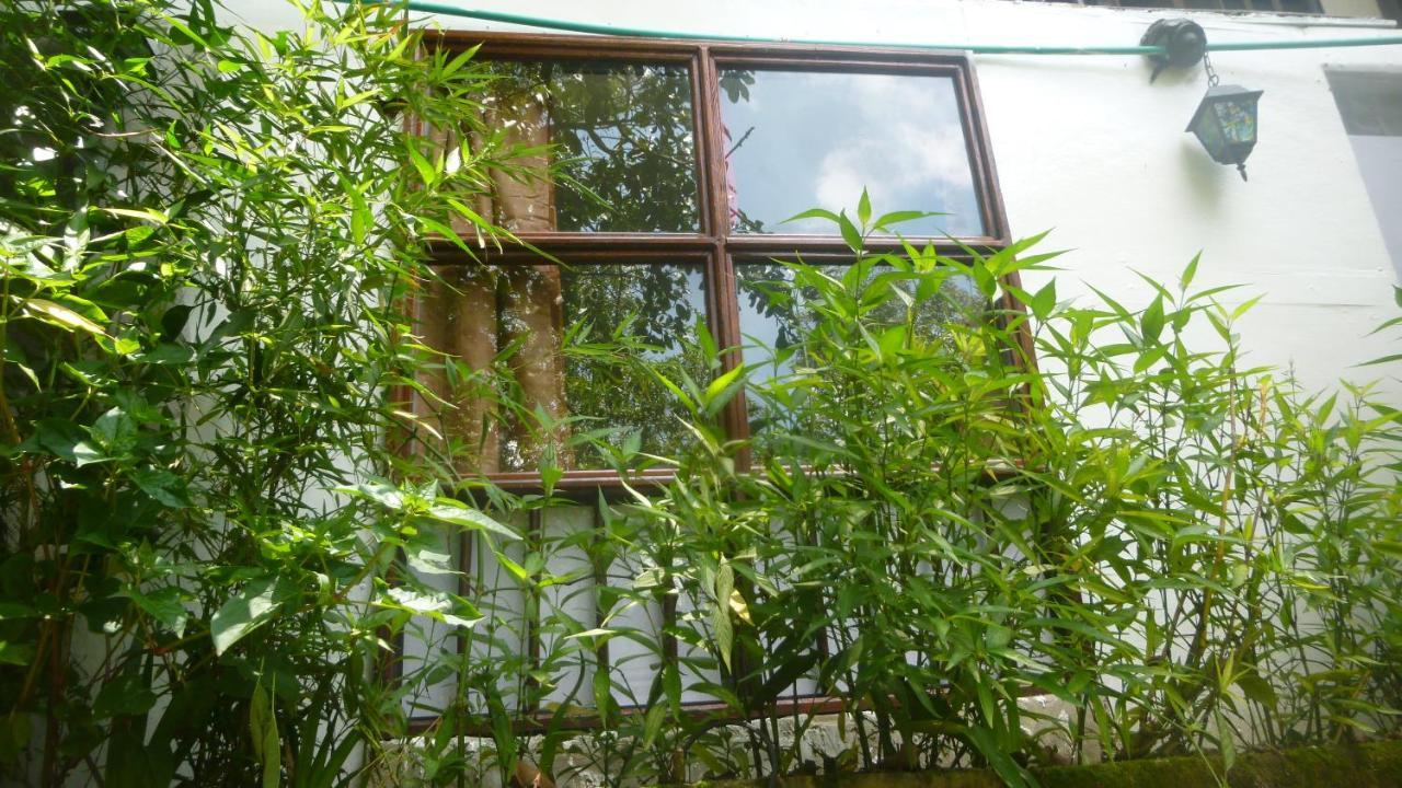 Casa Turistica Art-Velez Salento Hotel Exterior photo